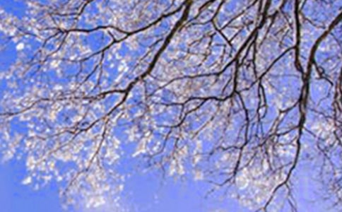 ���캮��ļ�̾���