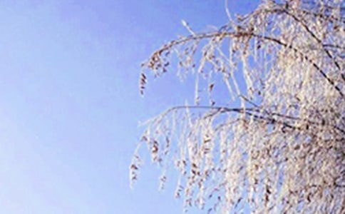 �������ů���ĵľ���