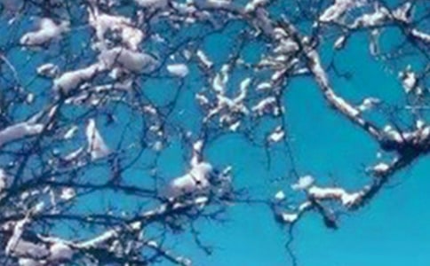 (集合)美丽的冬天作文