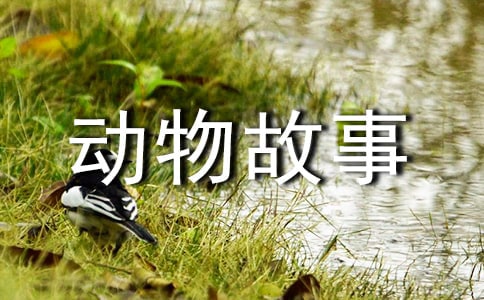 ���ٶ�����¶����