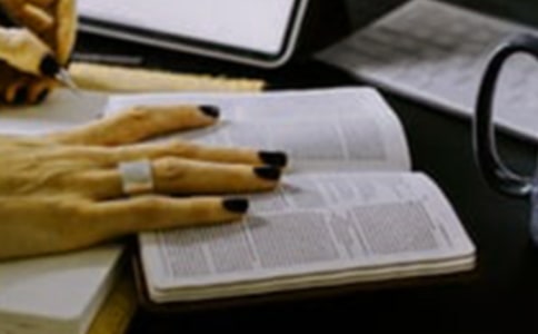 [ת]��������� -���������