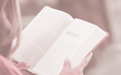 4.23�����ջ�ĵ����