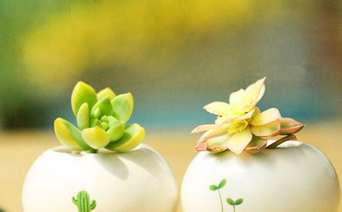 ������ռ�