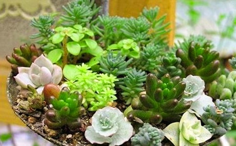 ���ڶ�������ģ�����6ƪ��