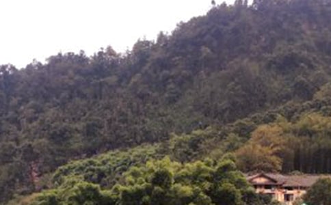 ��üɽ�ƺ�Сѧ������