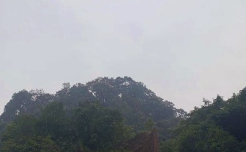 ��üɽ������