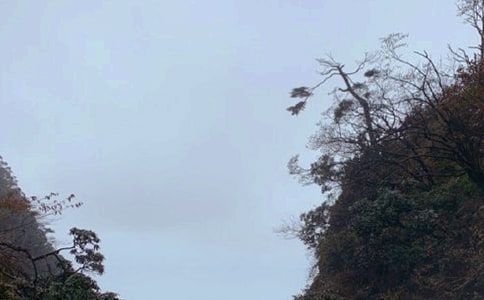 峨眉山学生作文