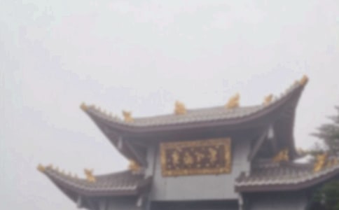 峨眉山游记作文通用15篇