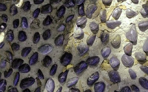 ����ʯ���ļ���14ƪ