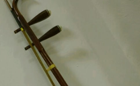 学二胡作文200字