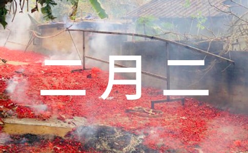 二月二剃龙头作文