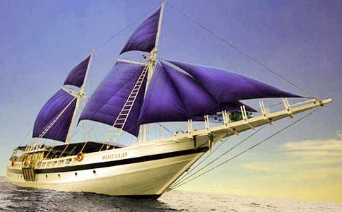 �а�����С�����̰���ͨ��5ƪ��