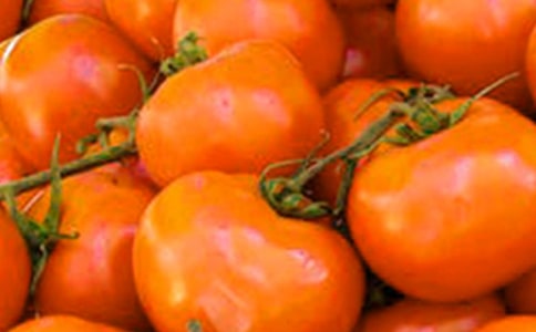 ���ڷ��ѵ�����