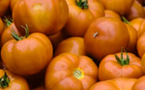 (精华)番茄炒蛋作文