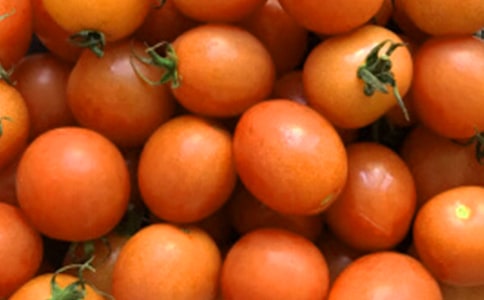 ���ѳ�������