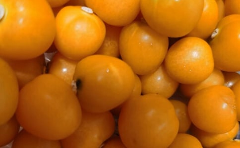 番茄炒蛋二年级作文(通用22篇)