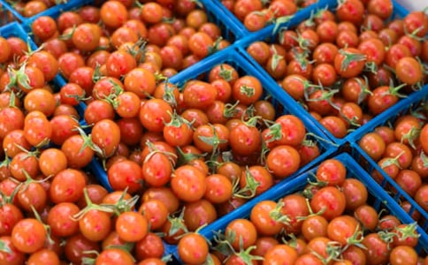 [ͨ��]���ѳ�������