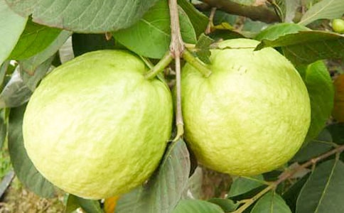 ��ʯ�����ȷ�Է�