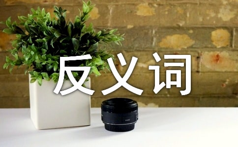 ���ݴʷ���ʵĿɷּ����뻥���ԵĹ�ϵ