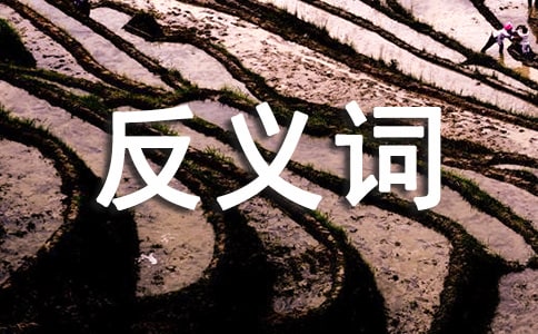 �����Ľ��ͼ�����ʺͷ����