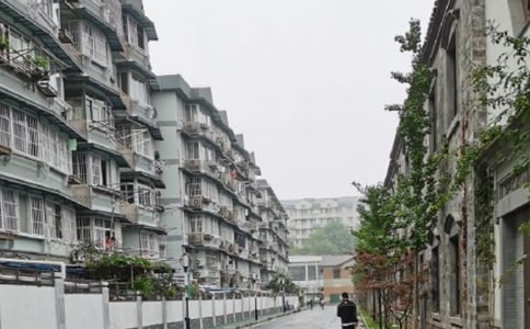 �����н鹤���ƻ�