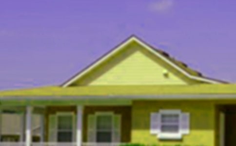 ��������̰���������