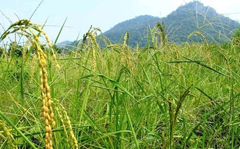 ���ܶ�����ʱ���Ĵ��졷����з���1500��