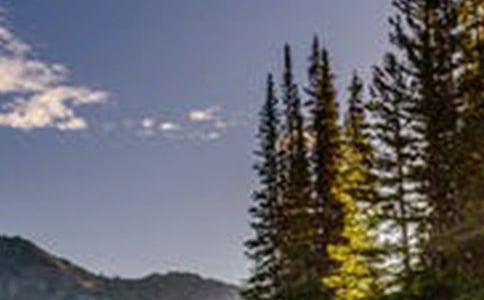 ��д�羰����������600��