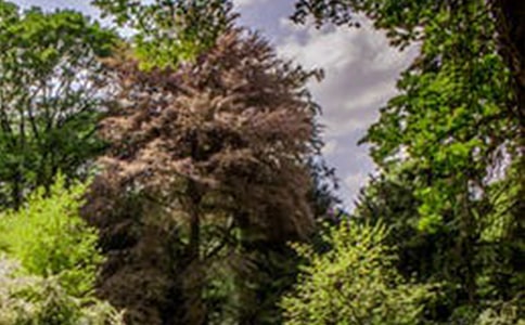 2023年经典形容风景的句子25句