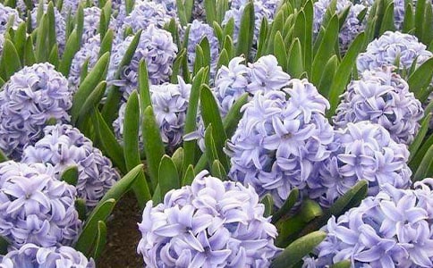 ����������[����15ƪ]