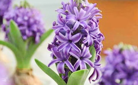 ����������800��