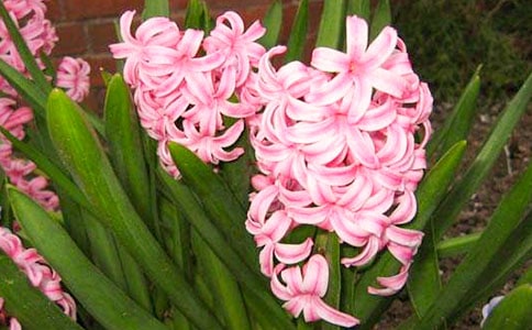 ��ª�ķ���������800��