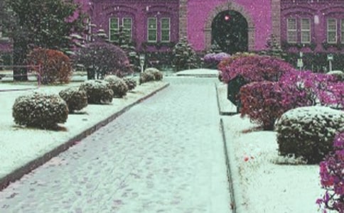 һ·���裬��ѩ��;����600�֣���ѡ19ƪ��