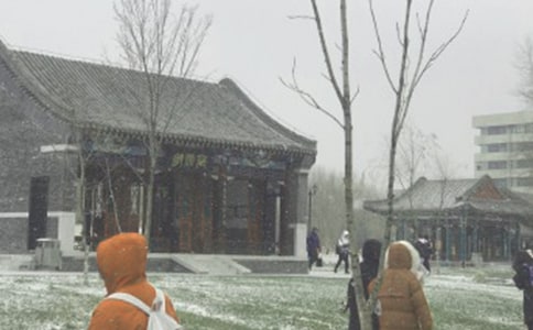 ��ѩ����ɢ��