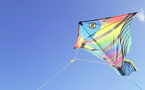 �׶�԰��������̰�������