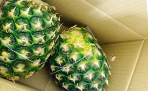 ���ڷ�������ģ�ͨ��21ƪ��