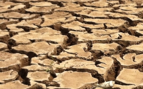 �����ɺ����Լ��ˮ�����鷶�ģ�ͨ��9ƪ��