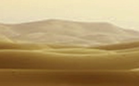 ���ڸɺ�������