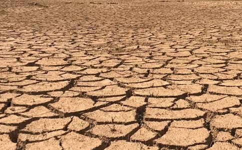 ����ѡ�����ڸɺ�������5ƪ