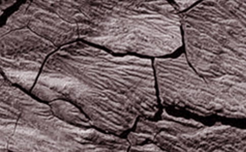 �����ָɺ�ָ���Աȷ��������ɺ��ȼ�