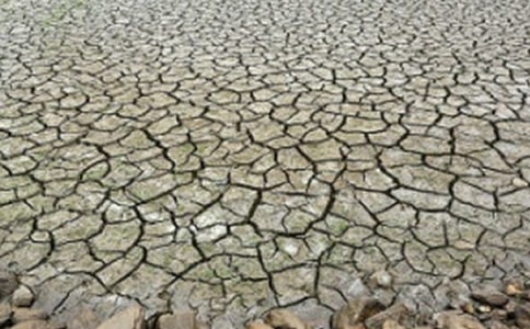 吉林省西部半干旱区夏季降水与暴雨时空规律研究