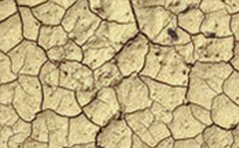 Сѧ���꼶����750�֣��ɺ�����Ʒ���۸�