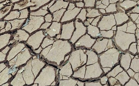 �㽭ʡ�󺵷������ʼ����ظɺ��������Ԥ��