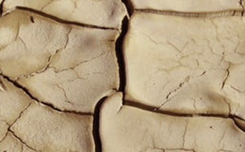 针对绿化干旱养护方案(精选7篇)