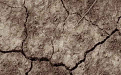 �������������Ϸֲ��ĸɺ���������