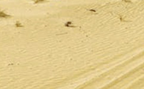 �����в��ɺ����ɺ��������������о�