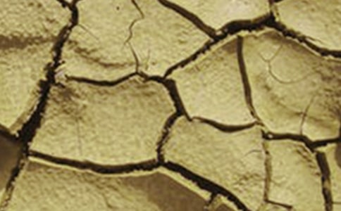 关于干旱的小河的作文