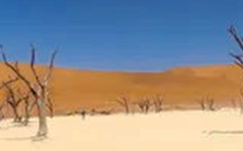 ˮ��ӯ��ָ��������ũҵ�ɺ�����е�Ӧ��