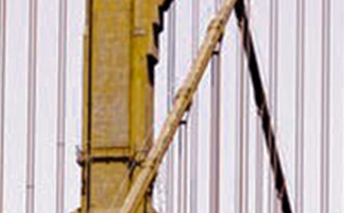 观看钢铁意志观后感(精选15篇)