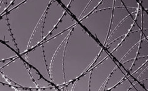 我的“钢铁猛虎”作文